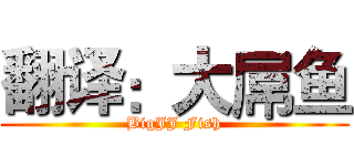 翻译：大屌鱼 (BigJJ Fish)