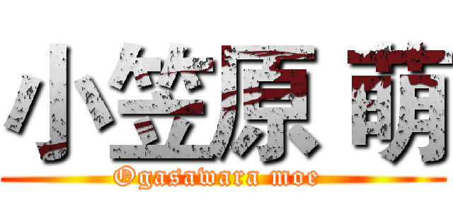 小笠原 萌 (Ogasawara moe )