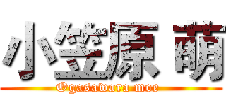 小笠原 萌 (Ogasawara moe )
