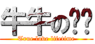 牛牛の璐璐 (True love lifetime)