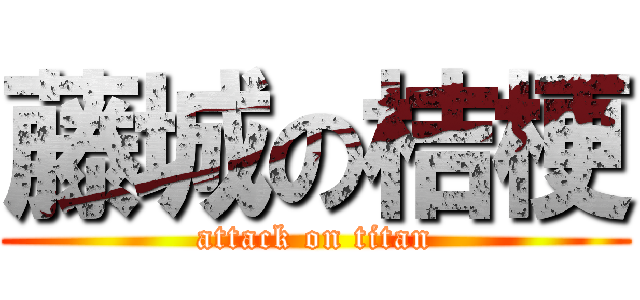 藤城の桔梗 (attack on titan)