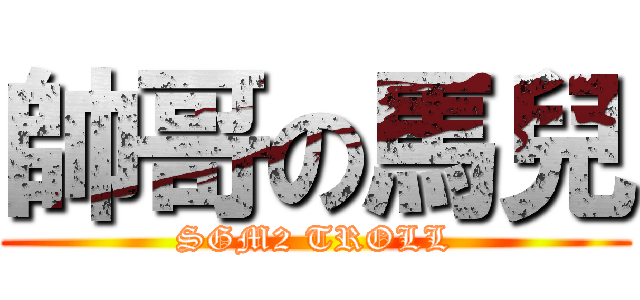 帥哥の馬兒 (SGM2 TROLL)