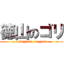 徳山のゴリ (tokuyama on gori)