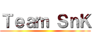 Ｔｅａｍ ＳｎＫ ()