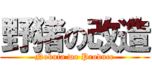 野猪の改造 (Nobuta wo Produce)
