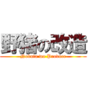 野猪の改造 (Nobuta wo Produce)