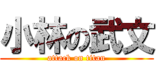 小林の武文 (attack on titan)