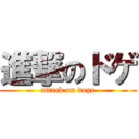 進撃のドゲ (attack on doge)