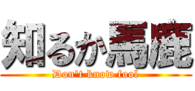 知るか馬鹿 (Don\'t know fool)