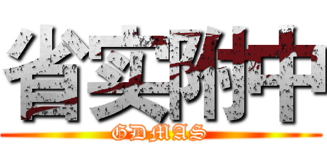 省实附中 (GDMAS)