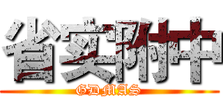 省实附中 (GDMAS)