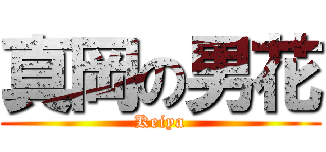 真岡の男花 (Keiya)