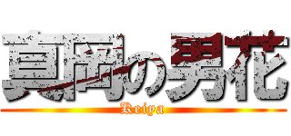 真岡の男花 (Keiya)