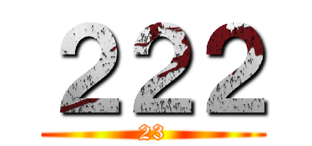 ２２２ (23)