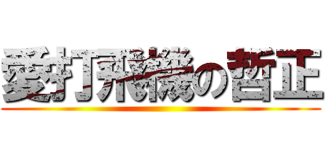 愛打飛機の哲正 ()