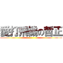 愛打飛機の哲正 ()