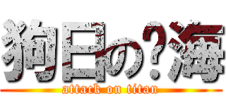 狗日の杨海 (attack on titan)