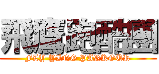 飛鷹跑酷團 ( FLY YING PARKOUR )