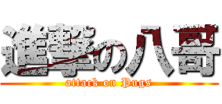 進撃の八哥 (attack on Pugs)