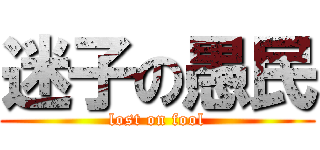 迷子の愚民 (lost on fool)