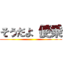 そうだよ（便乗 ()