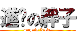 進擊の胖子 (omg in leave)