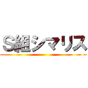 Ｓ組シマリス ()
