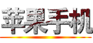 苹果手机 ()