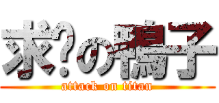 求檔の鴨子 (attack on titan)