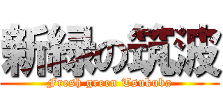 新緑の筑波 (Fresh green Tsukuba)