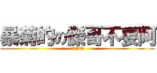 暴菊的の傑哥不要阿 (%%%)