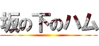 坂の下のハム ()