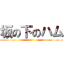 坂の下のハム ()
