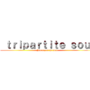  ｔｒｉｐａｒｔｉｔｅ ｓｏｕｌ (Journey of the soul)