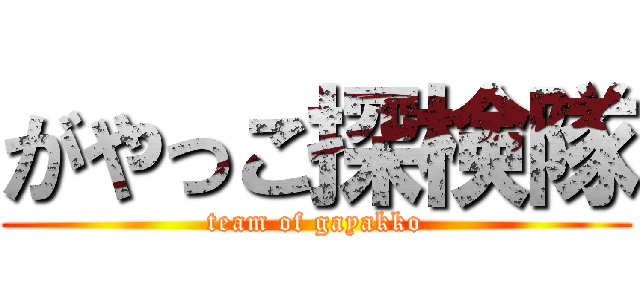 がやっこ探検隊 (team of gayakko)