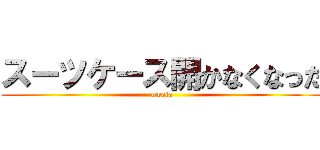 スーツケース開かなくなった (owata)