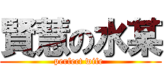 賢慧の水某 (perfect wife )