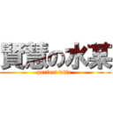 賢慧の水某 (perfect wife )