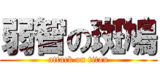 弱智の斑鳩 (attack on titan)