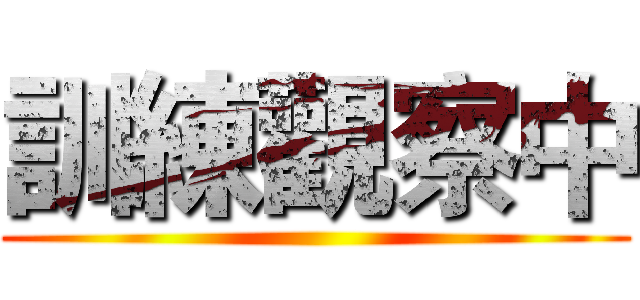 訓練觀察中 ()