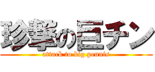 珍撃の巨チン (attack to big pennis)