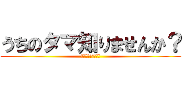 うちのタマ知りませんか？ (Ｌｏｓｔ　Ｔａｍａ)