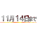 １１月１４日まで ()