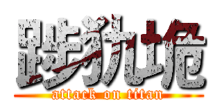 踄犰垝 (attack on titan)