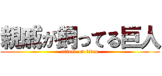 親戚が飼ってる巨人 (attack on titan)