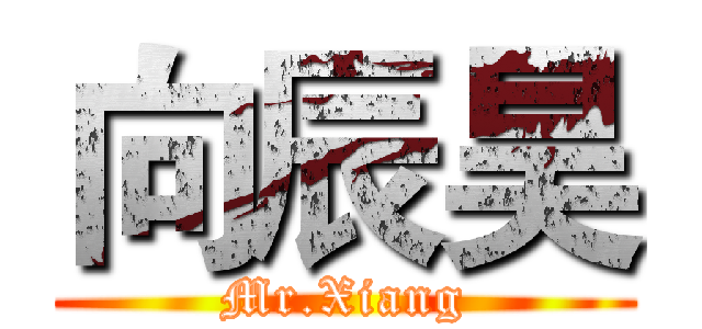 向辰昊 (Mr.Xiang)