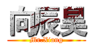 向辰昊 (Mr.Xiang)