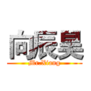向辰昊 (Mr.Xiang)