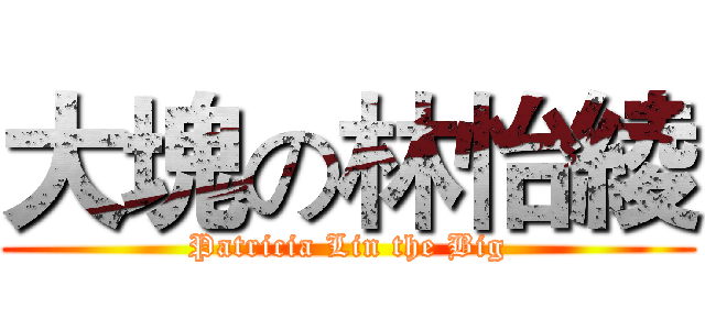 大塊の林怡綾 (Patricia Lin the Big)