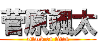 菅原颯太 (attack on titan)